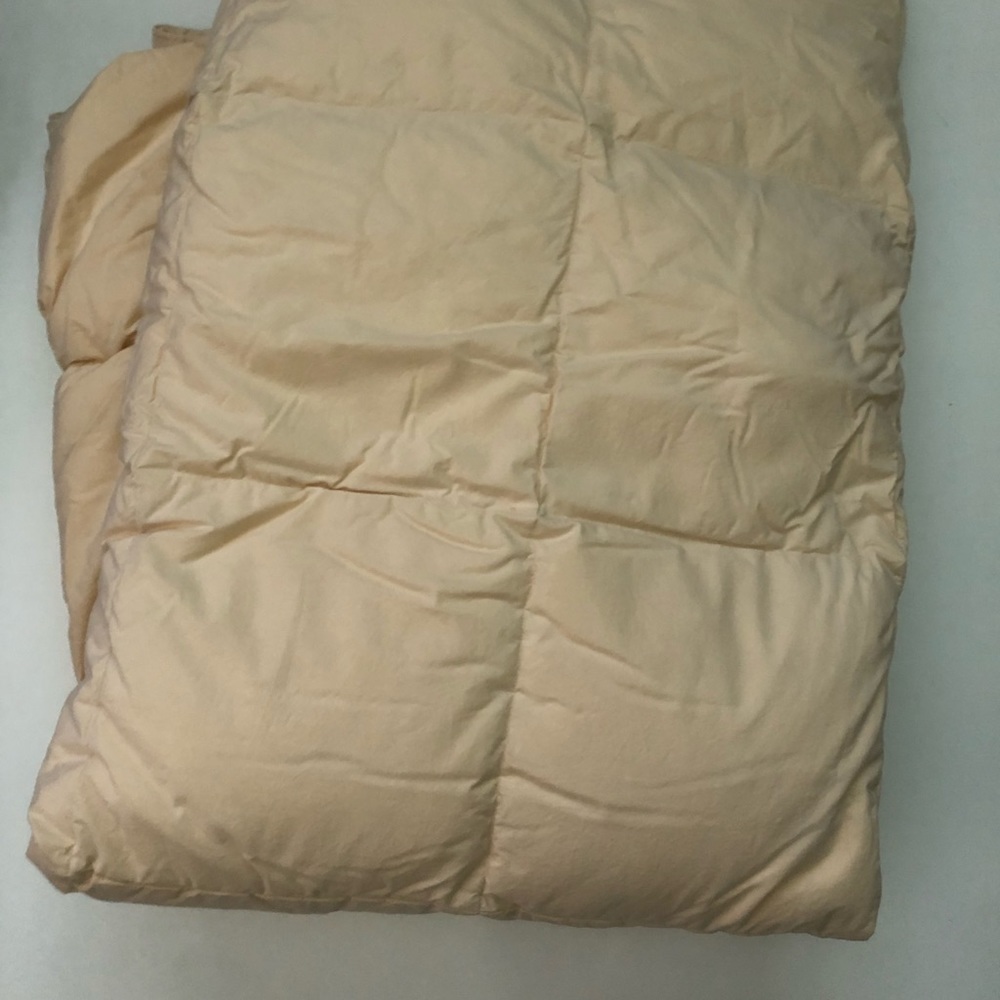 Duvet Insert, Twin Size (62 x 86 inch), White Goose Down